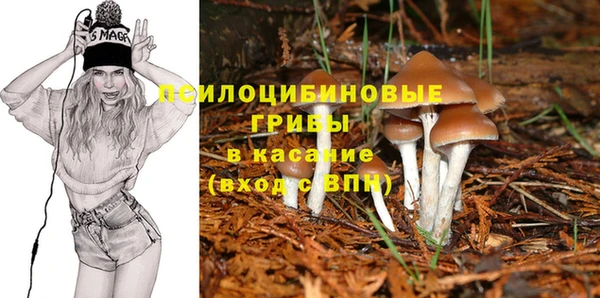 трава Алзамай