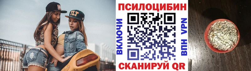 сайты даркнета состав  Камбарка  Псилоцибиновые грибы мицелий 